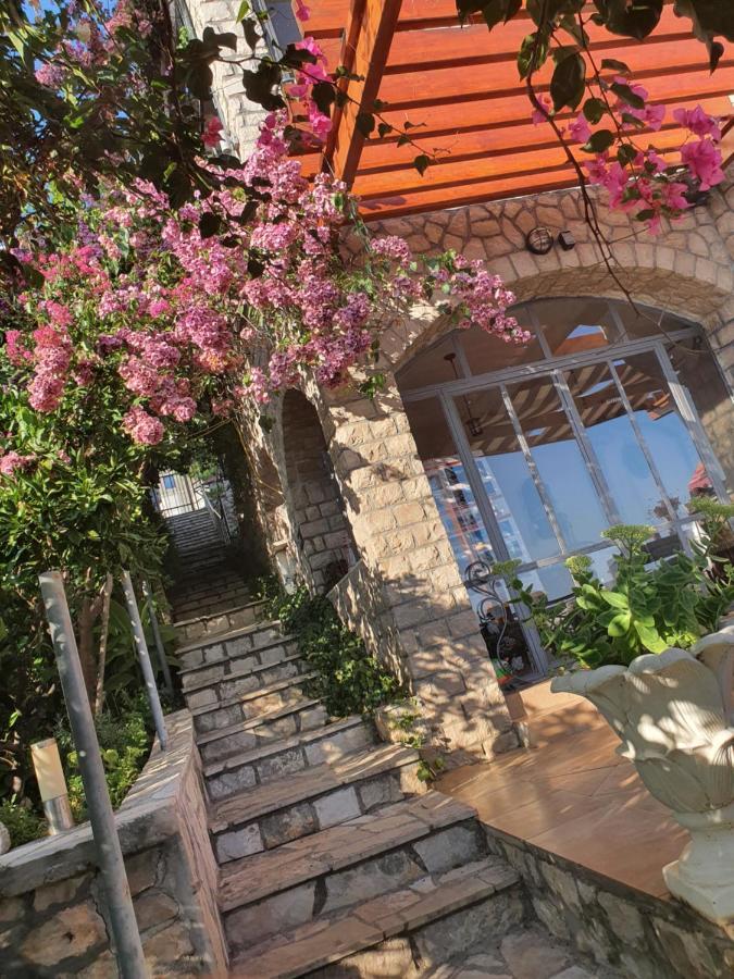 Apartmán Vila Vito Dobra Voda Exteriér fotografie